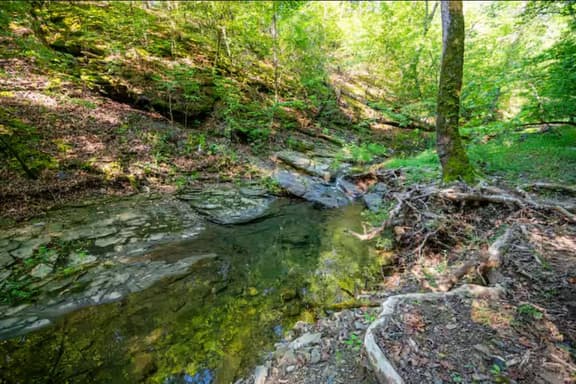 New! Play in Lukfata Creek! Hot Tub! Fire pit!